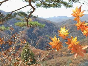 探访马鞍山雨韵阁，最新动态与文化魅力