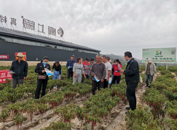 辽宁省养殖业最新政策深度解读，创新驱动，绿色发展，助力乡村振兴