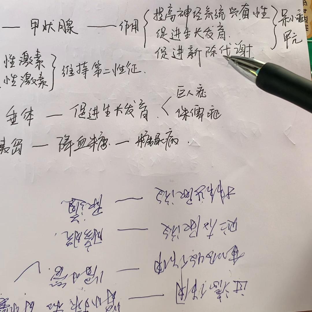 2022年最新血糖标准一览表，全面解析与健康指导